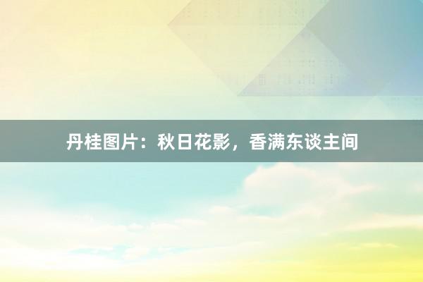 丹桂图片：秋日花影，香满东谈主间