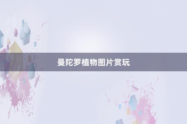 曼陀罗植物图片赏玩