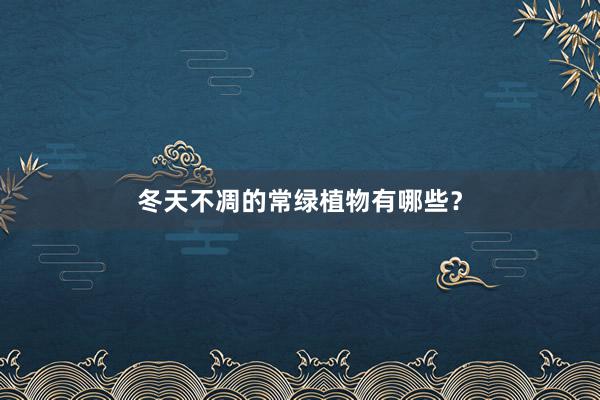 冬天不凋的常绿植物有哪些?