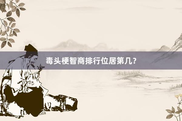 毒头梗智商排行位居第几？